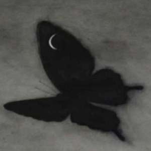 男人日美女逼逼
