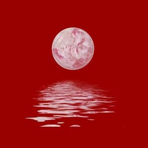 男人日美女逼逼
